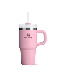 The Quencher H2.O FlowState Tumbler | 14 OZ