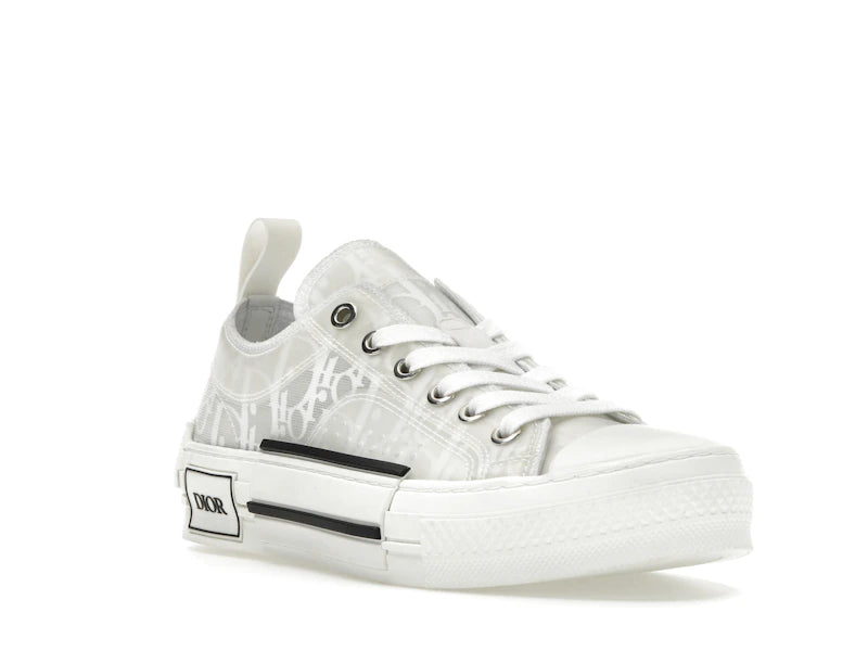 Dior B23 Low Top